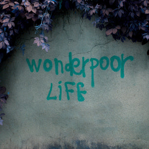 Waywell - Wonderpoor Life [MP3 Digital Download]