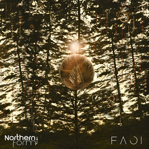 Northern Form - Faoi [MP3 Digital Download]