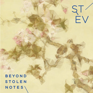 Stev - Beyond Stolen Notes [MP3 Digital Download]