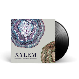 Emancipator, Rena Jones & Flowerpulse - Xylem - LP (Black Vinyl) + Digital Download